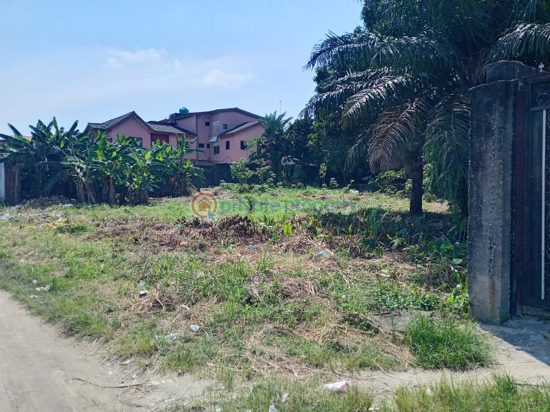 Residential Land For Sale Asajon, Atlantis Estate, Sangotedo Ajah Sangotedo Lagos - 7
