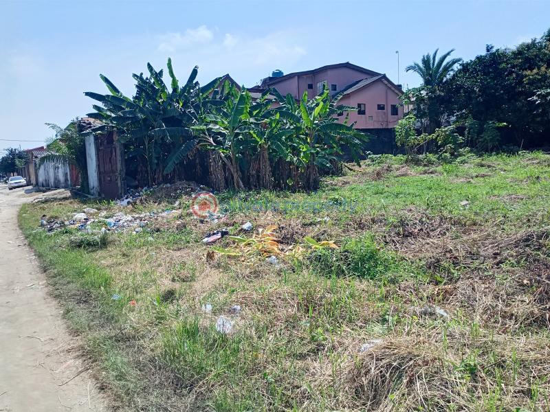 Residential Land For Sale Asajon, Atlantis Estate, Sangotedo Ajah Sangotedo Lagos - 2