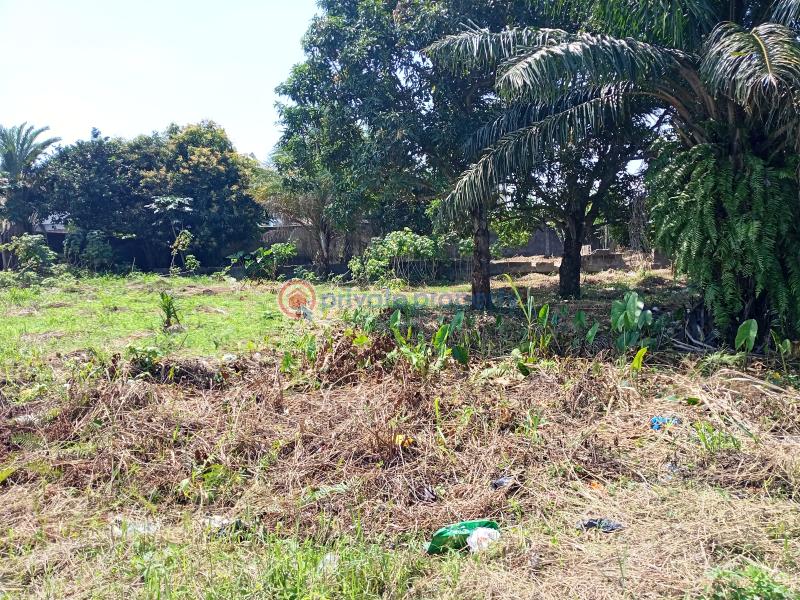 Residential Land For Sale Asajon, Atlantis Estate, Sangotedo Ajah Sangotedo Lagos - 1