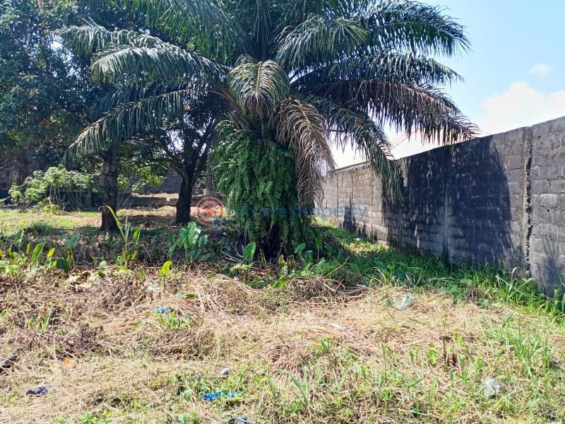 Residential Land For Sale Asajon, Atlantis Estate, Sangotedo Ajah Sangotedo Lagos - 3
