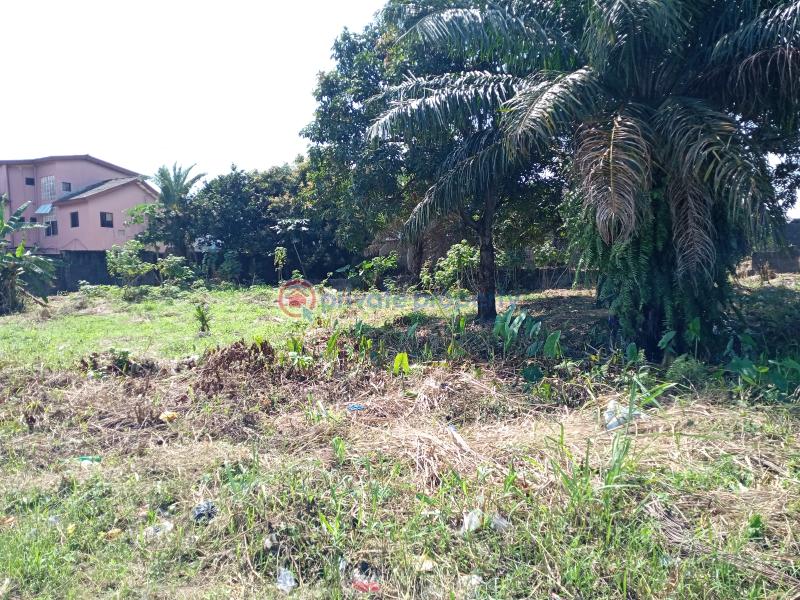 Residential Land For Sale Asajon, Atlantis Estate, Sangotedo Ajah Sangotedo Lagos - 5