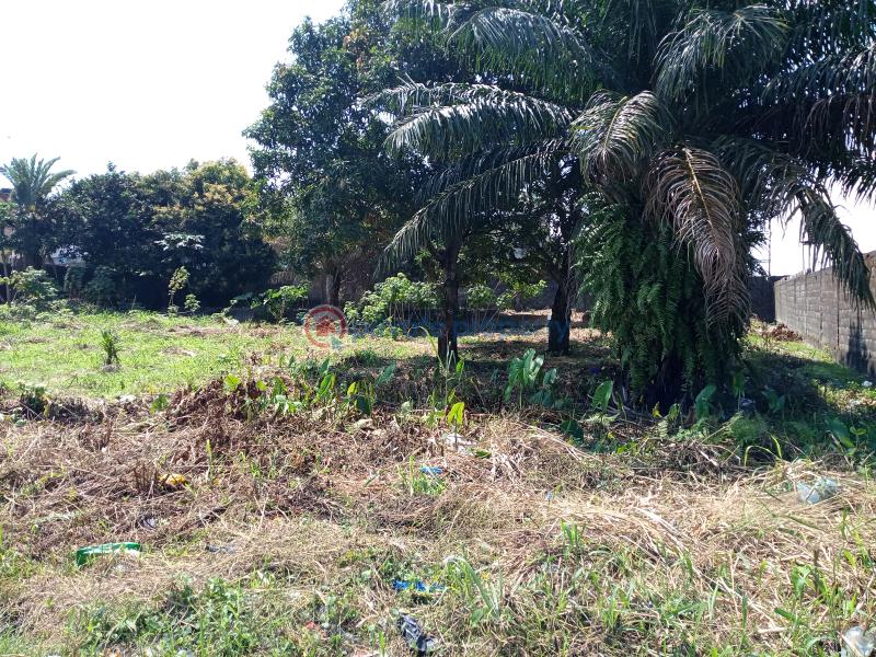 Residential Land For Sale Asajon, Atlantis Estate, Sangotedo Ajah Sangotedo Lagos - 9