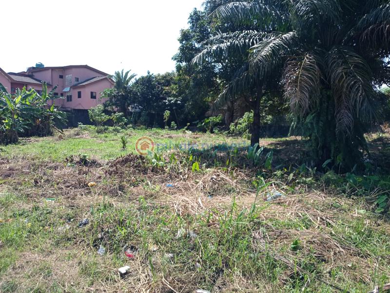 Residential Land For Sale Asajon, Atlantis Estate, Sangotedo Ajah Sangotedo Lagos - 6