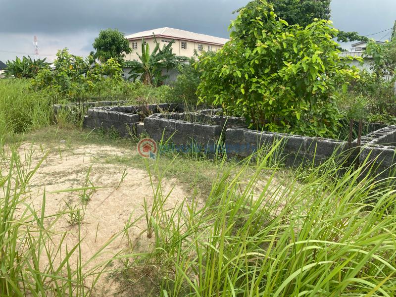 2 bedroom Joint Venture Land For Sale Awoyoyo Container Bus Stop Facing Green Springs School Awoyaya Ajah Lagos - 3