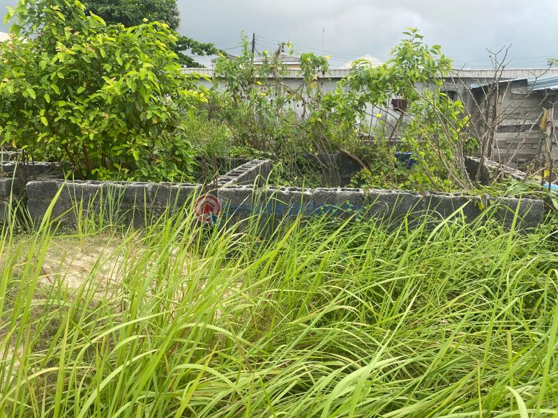 2 bedroom Joint Venture Land For Sale Awoyoyo Container Bus Stop Facing Green Springs School Awoyaya Ajah Lagos - 5