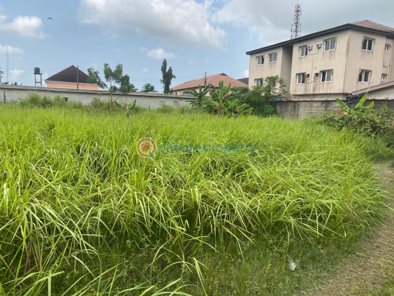 2 bedroom Joint Venture Land For Sale Awoyoyo Container Bus Stop Facing Green Springs School Awoyaya Ajah Lagos - 8