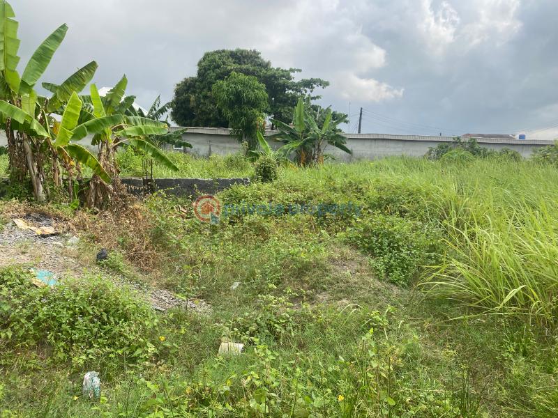 2 bedroom Joint Venture Land For Sale Awoyoyo Container Bus Stop Facing Green Springs School Awoyaya Ajah Lagos - 6