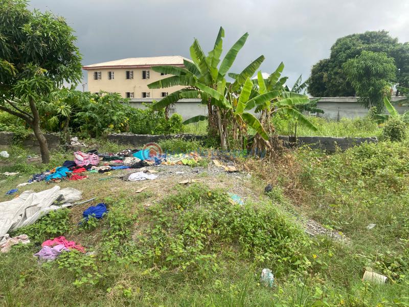 2 bedroom Joint Venture Land For Sale Awoyoyo Container Bus Stop Facing Green Springs School Awoyaya Ajah Lagos - 7