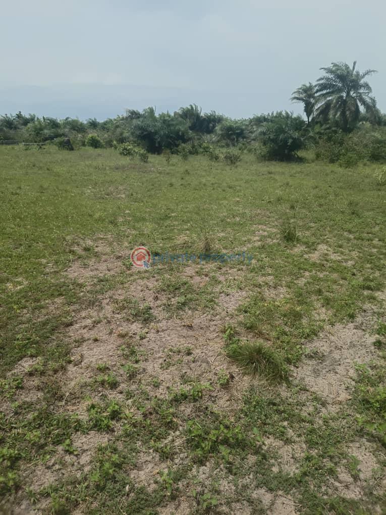 Mixed use Land For Sale Amen Est Phase 2 Okunraiye Ibeju-Lekki Lagos - 0