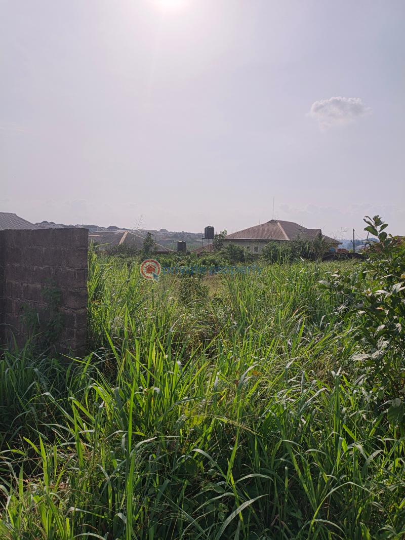 Residential Land For Sale Omotoro Off Ijede Road Ikorodu Ikorodu Lagos - 1