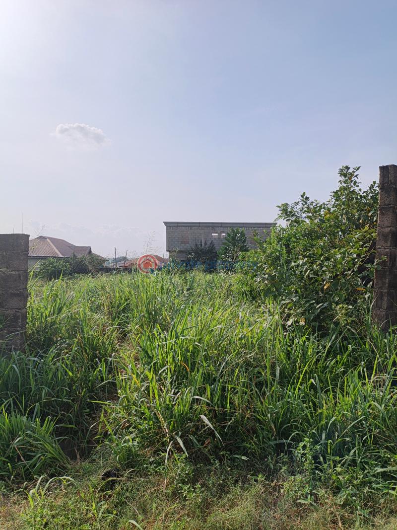 Residential Land For Sale Omotoro Off Ijede Road Ikorodu Ikorodu Lagos - 0