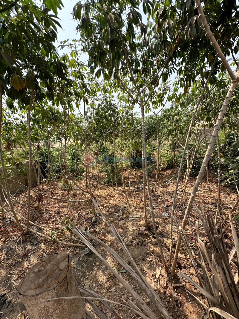 Residential Land For Sale Anifalaje Akobo Ibadan Oyo - 2