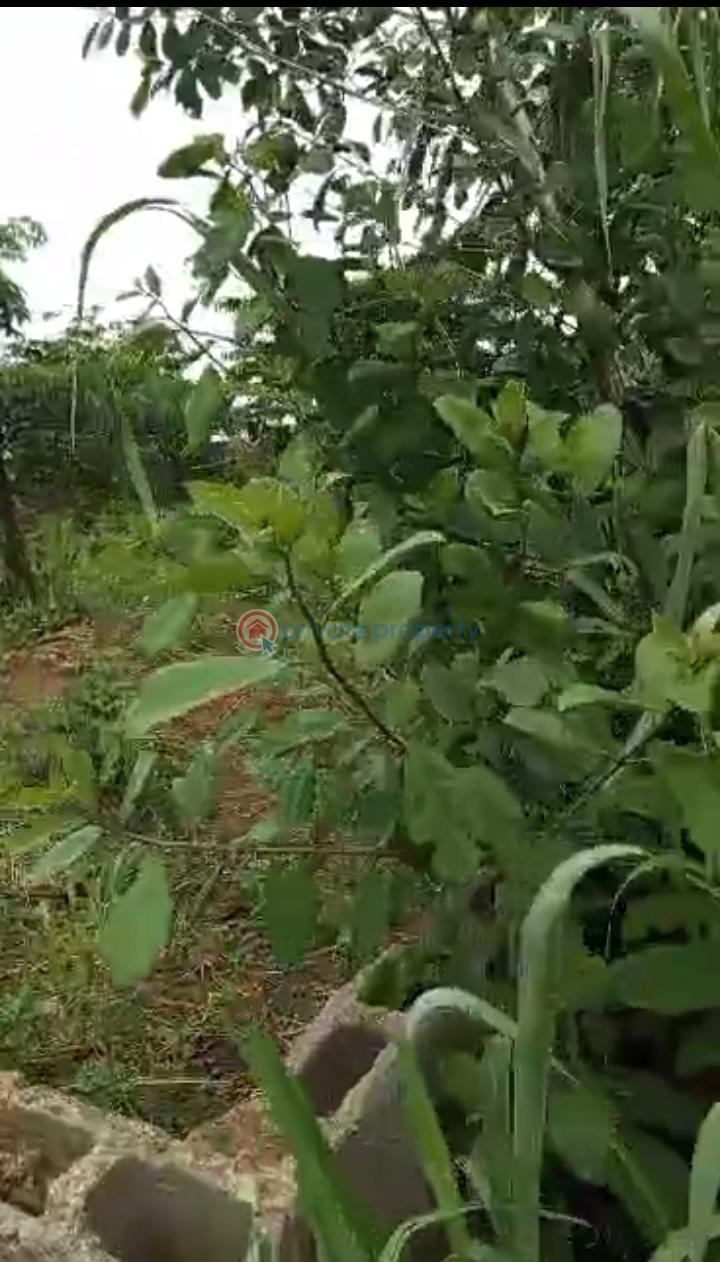 Residential Land For Sale Ori Okuta, Isiwu Maya Ikorodu Lagos - 1