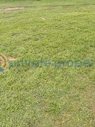 Land For Sale Lagos Extension Ogun