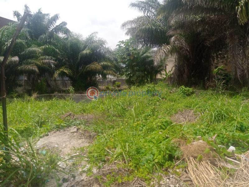 For sale Land Peninsula Garden Estate Sangotedo Ajah Lagos (PID 6PAHPC) Private Property Nigeria