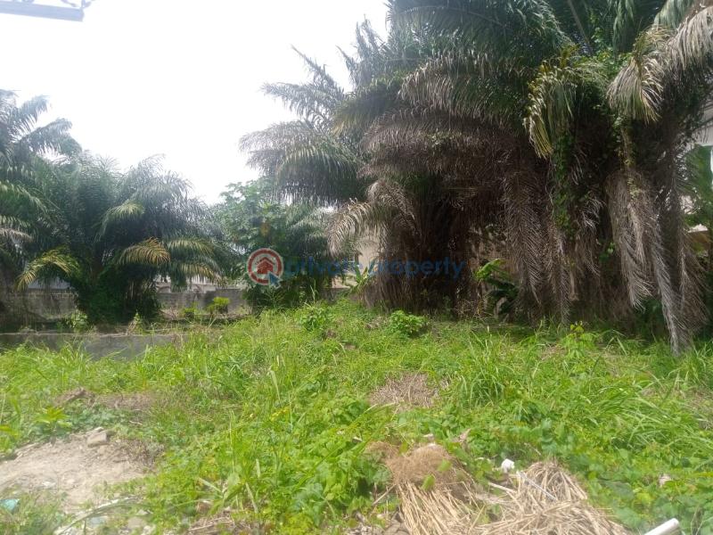 For sale Land Peninsula Garden Estate Sangotedo Ajah Lagos (PID