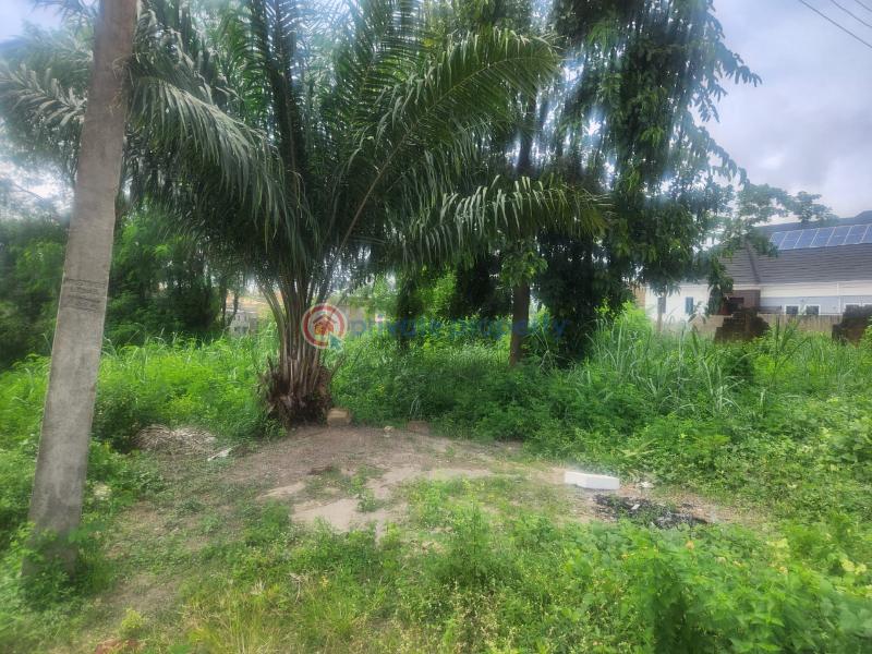 Residential Land For Sale Olusoji Avenue Akala Express Ibadan Oyo - 6