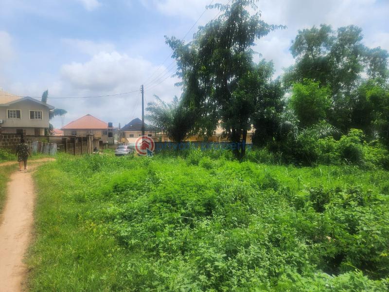 Residential Land For Sale Olusoji Avenue Akala Express Ibadan Oyo - 2