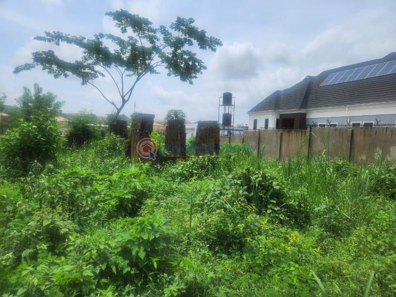 Residential Land For Sale Olusoji Avenue Akala Express Ibadan Oyo - 1