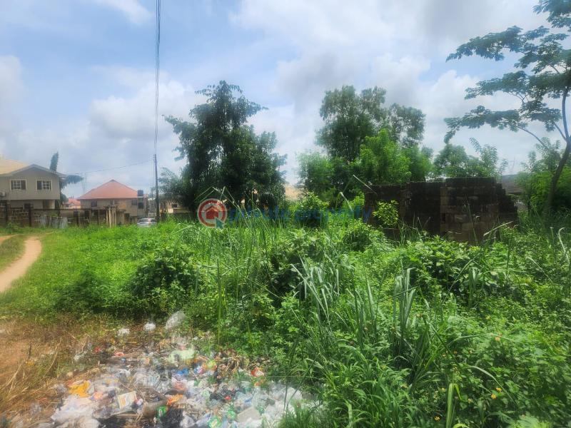 Residential Land For Sale Olusoji Avenue Akala Express Ibadan Oyo - 5
