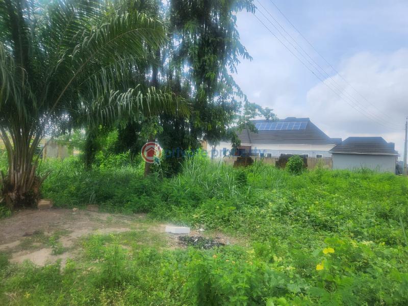 Residential Land For Sale Olusoji Avenue Akala Express Ibadan Oyo - 0