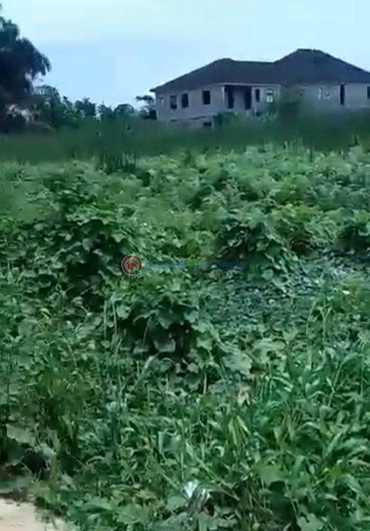 Mixed use Land For Sale Majek Sangotedo Ajah Lagos - 2