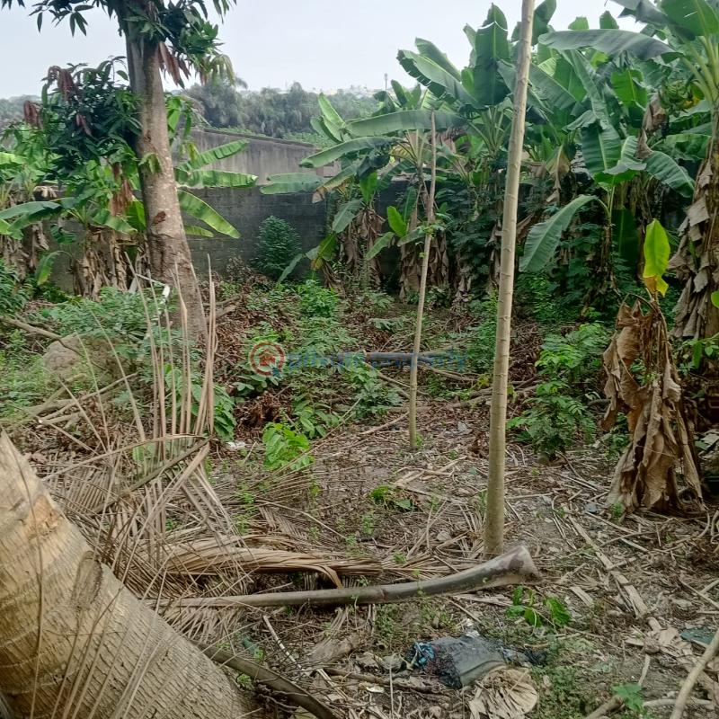 Residential Land For Sale Agric Bus Stop Ikorodu Road , To Ori Okuta Estate Down Down Behind Shobowale Street Agric Ikorodu Lagos - 3