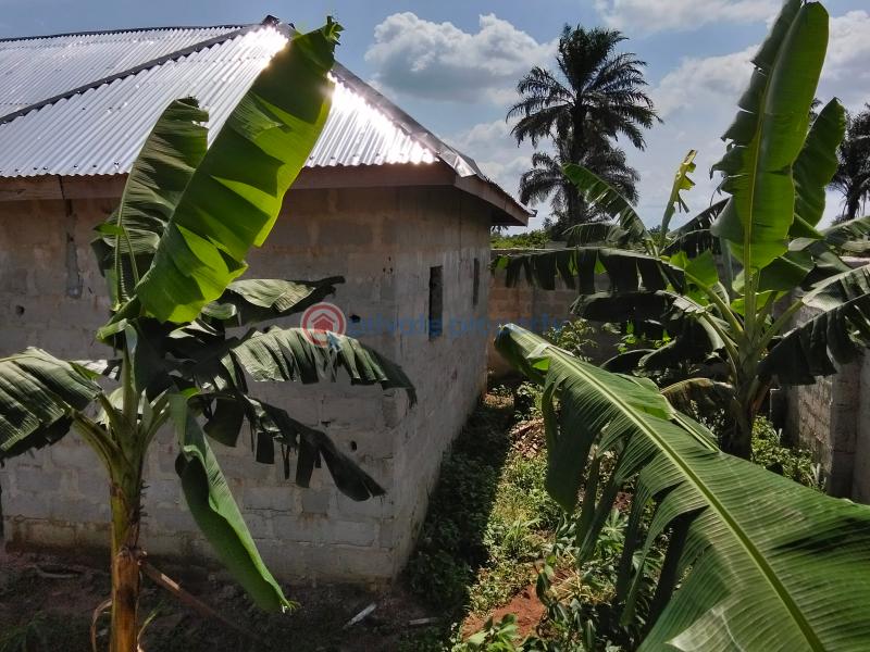 2 bedroom Detached Bungalow For Sale Siphon Road Army Barrack Rumuchiolu Eneka Port Harcourt Obio/akpor Local Government Area Eneka Port Harcourt Rivers - 5