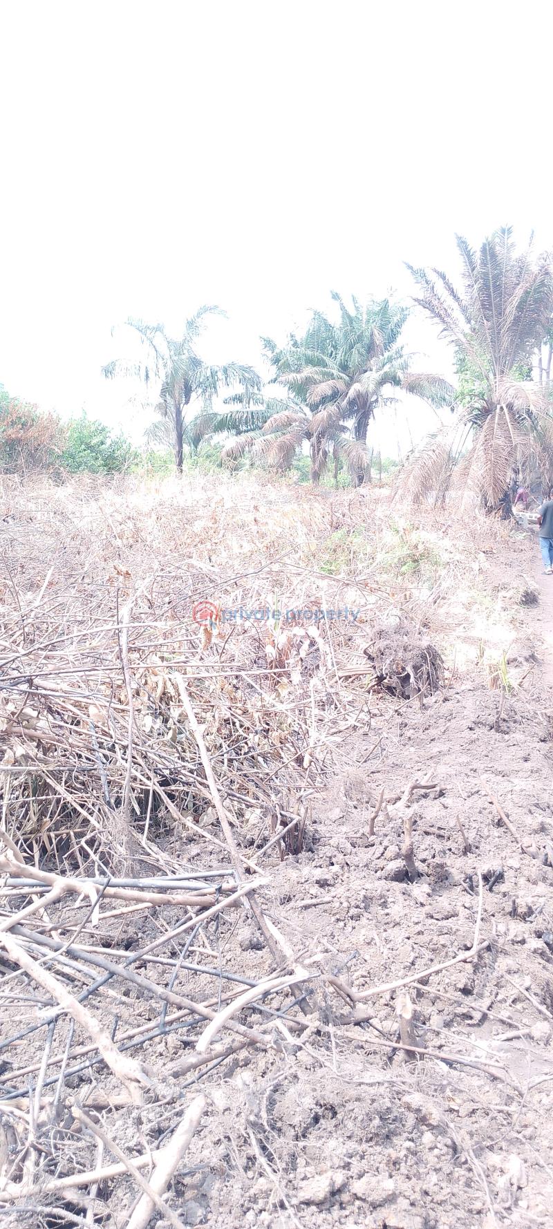 Residential Land For Sale Silver Point Estate, Badore Ajah Lagos - 7