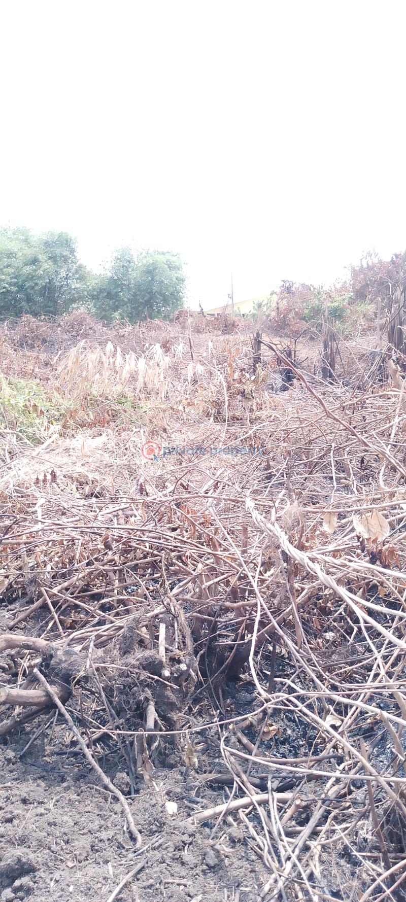 Residential Land For Sale Silver Point Estate, Badore Ajah Lagos - 6