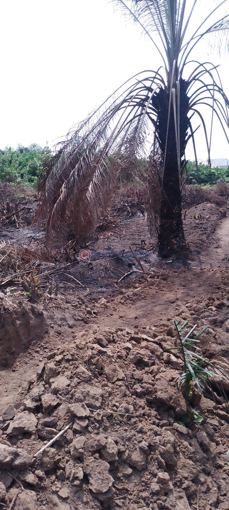 Residential Land For Sale Silver Point Estate, Badore Ajah Lagos - 3