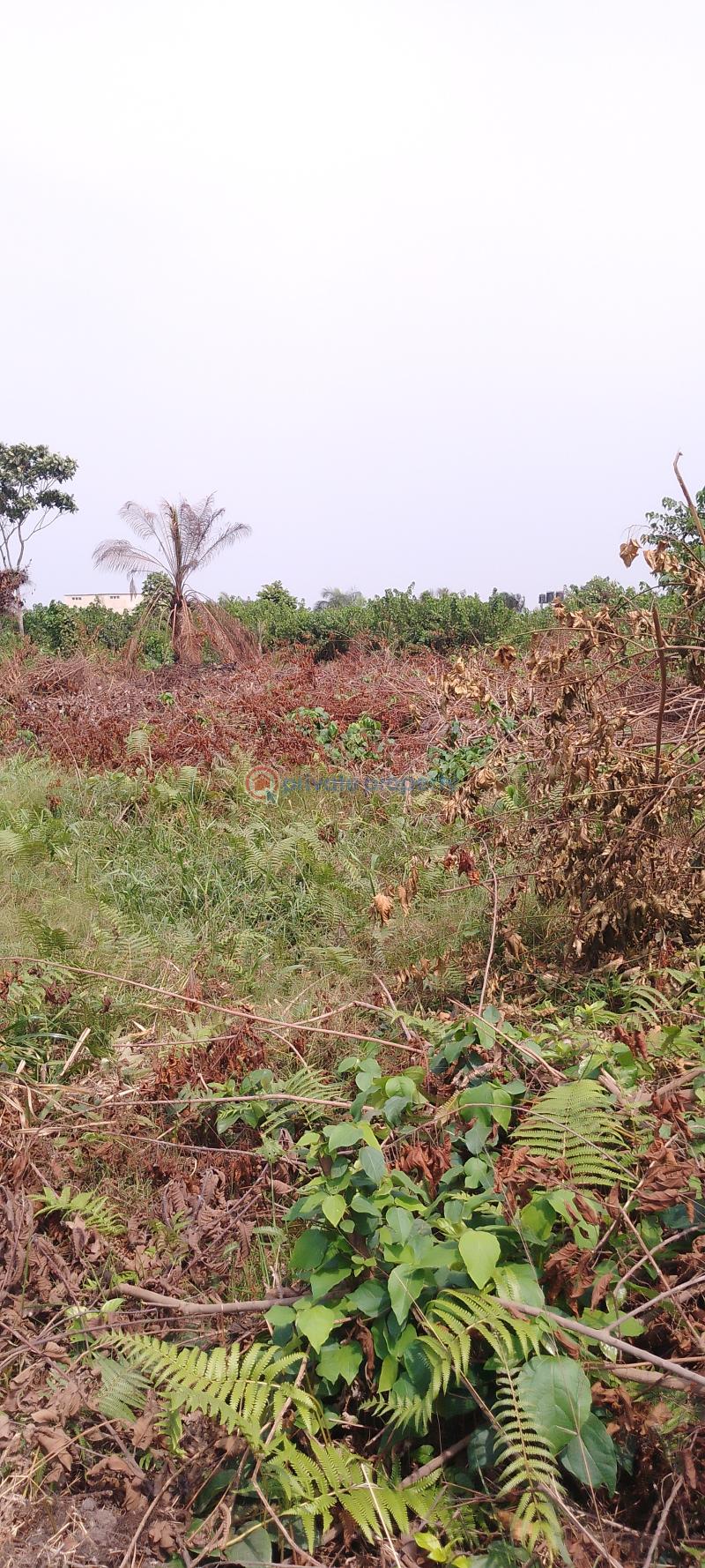 Residential Land For Sale Silver Point Estate, Badore Ajah Lagos - 1