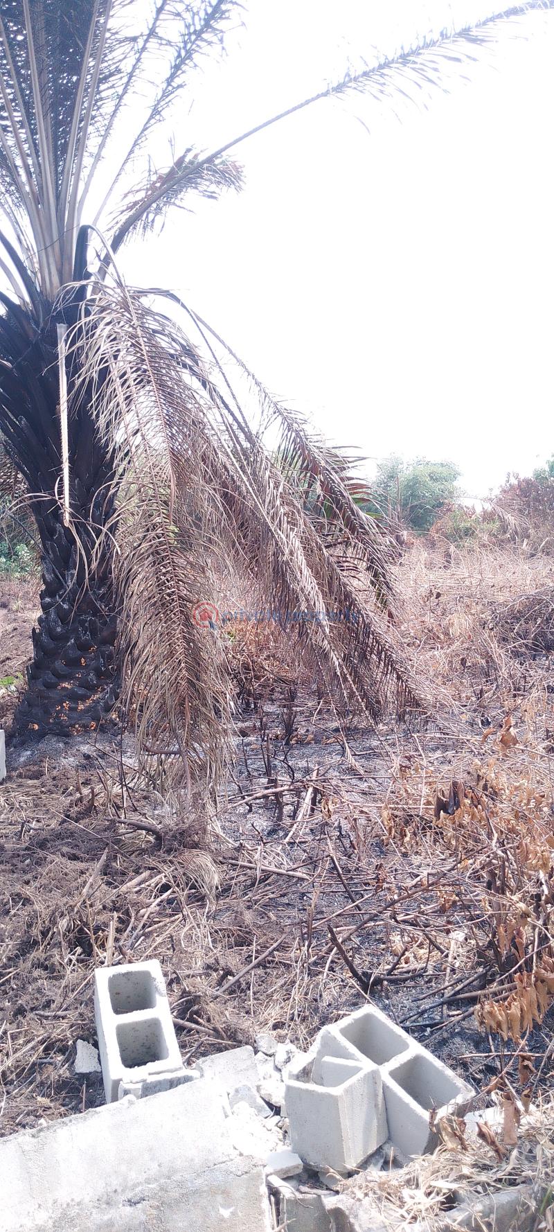 Residential Land For Sale Silver Point Estate, Badore Ajah Lagos - 5