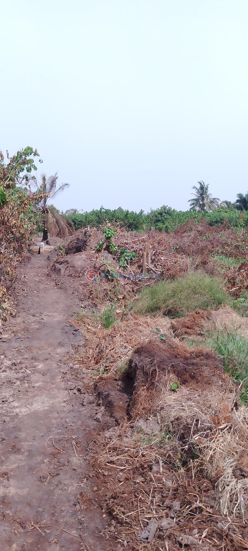 Residential Land For Sale Silver Point Estate, Badore Ajah Lagos - 0