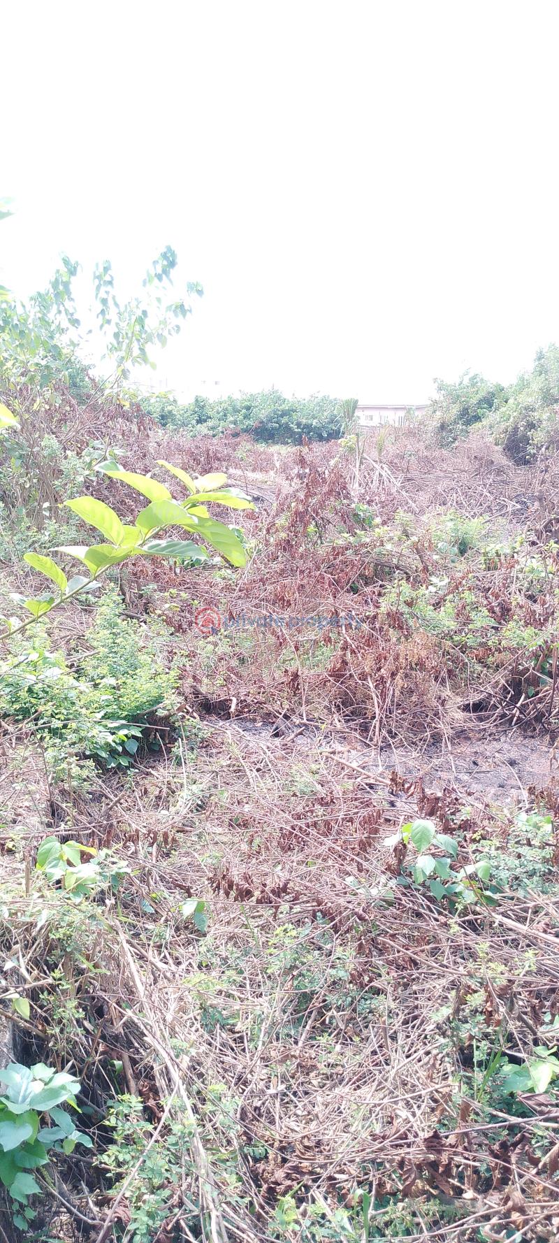 Residential Land For Sale Silver Point Estate, Badore Ajah Lagos - 2