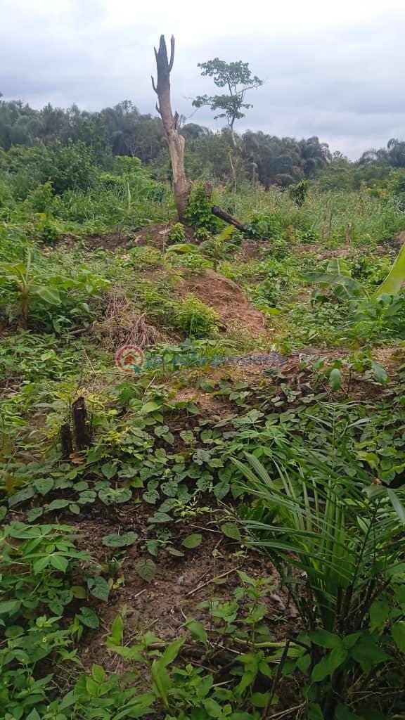 Commercial Land For Sale Sagamu Ogun