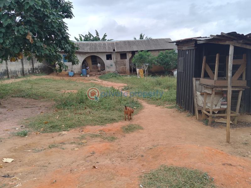 4 bedroom Bungalow For Sale Ifelodun Street Ayobo Ipaja Lagos Alimosho Lagos - 5