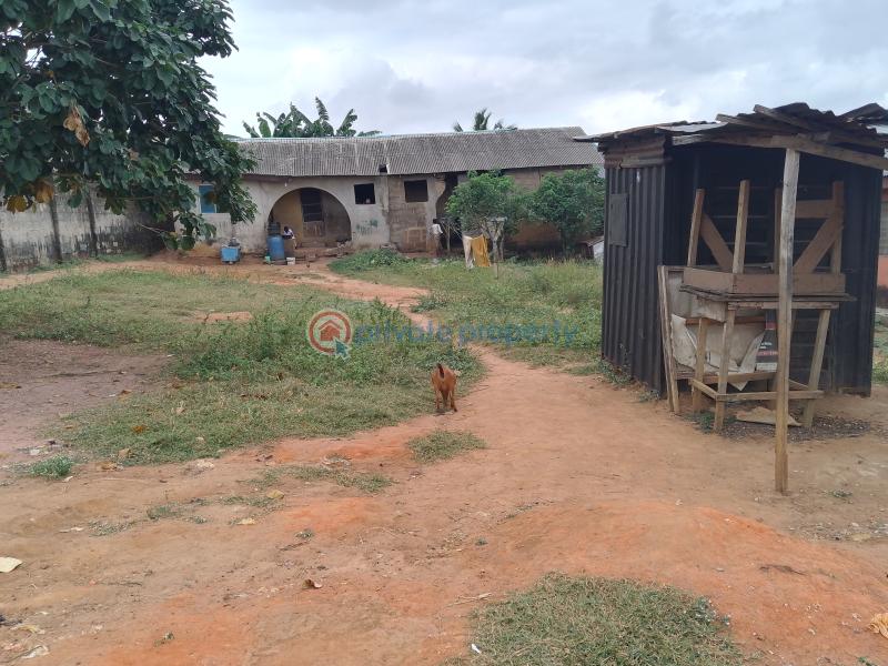 4 bedroom Bungalow For Sale Ifelodun Street Ayobo Ipaja Lagos Alimosho Lagos - 4