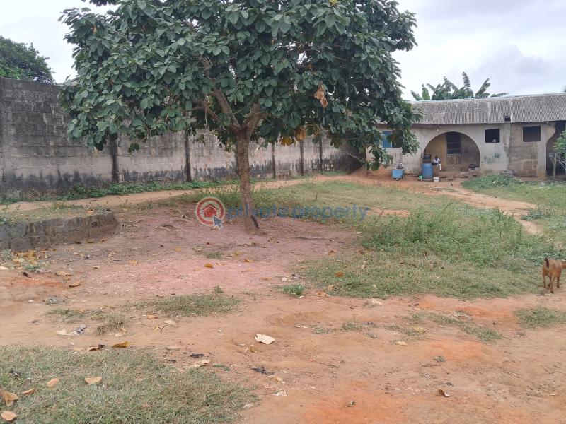 4 bedroom Bungalow For Sale Ifelodun Street Ayobo Ipaja Lagos Alimosho Lagos - 2