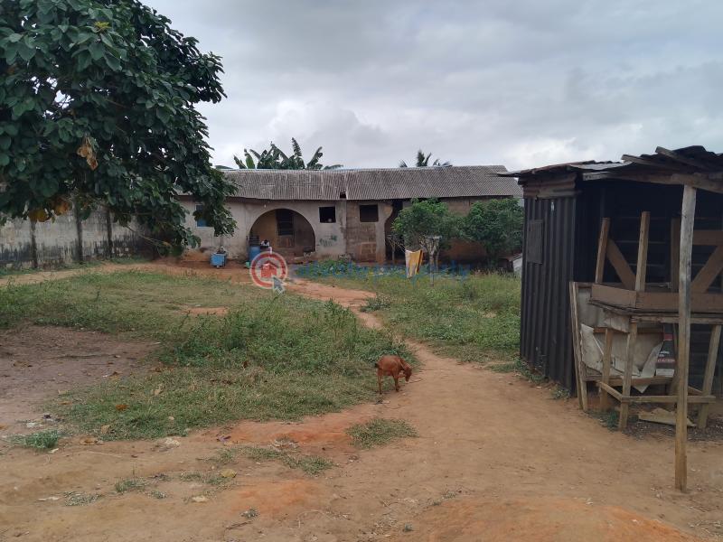 4 bedroom Bungalow For Sale Ifelodun Street Ayobo Ipaja Lagos Alimosho Lagos - 1