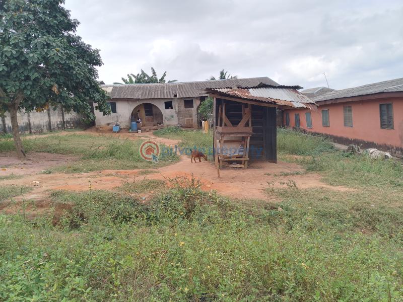 4 bedroom Bungalow For Sale Ifelodun Street Ayobo Ipaja Lagos Alimosho Lagos - 0