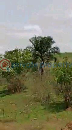 Commercial Land For Sale New Oyo Ogbomosho Expressway Atiba Oyo  - 6