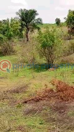 Commercial Land For Sale New Oyo Ogbomosho Expressway Atiba Oyo  - 3