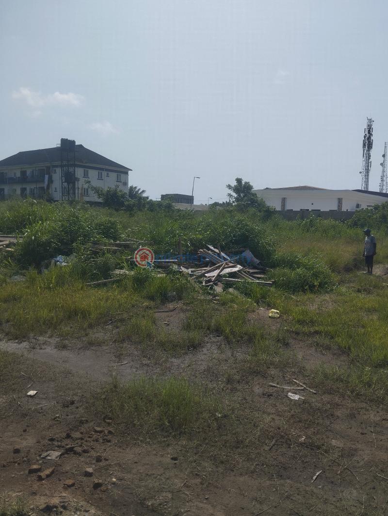 Commercial Land For Sale 1minute From Lbs School Sangotedo Ajah Lagos - 4