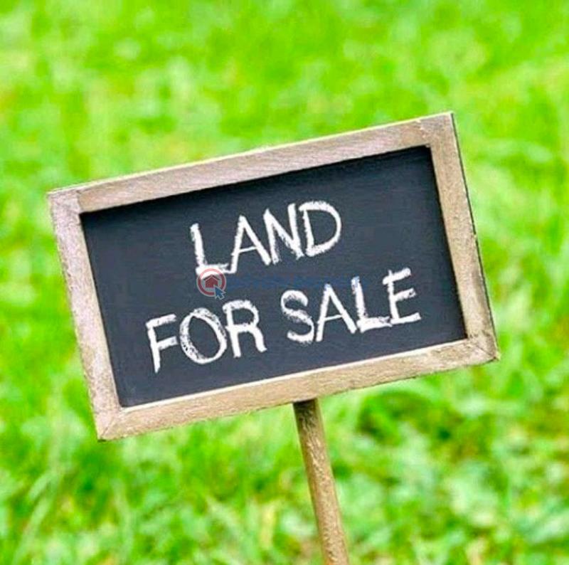 Commercial Land For Sale Ologolo Lekki Lagos