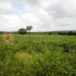Mixed use Land For Sale Near Ijaye At Alabede Village Moniya Ibadan Oyo - 2