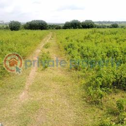 Mixed use Land For Sale Near Ijaye At Alabede Village Moniya Ibadan Oyo - 3