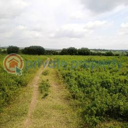 Mixed use Land For Sale Near Ijaye At Alabede Village Moniya Ibadan Oyo - 1