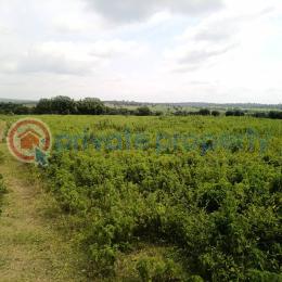 Mixed use Land For Sale Near Ijaye At Alabede Village Moniya Ibadan Oyo - 0