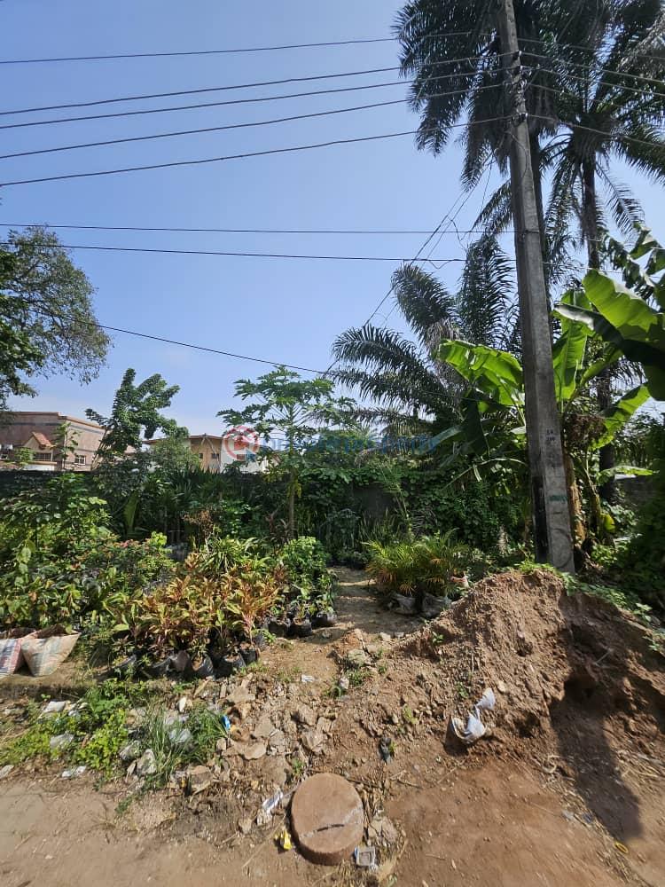 Mixed use Land For Sale Kudirat Abiola Way Oregun Ikeja Lagos